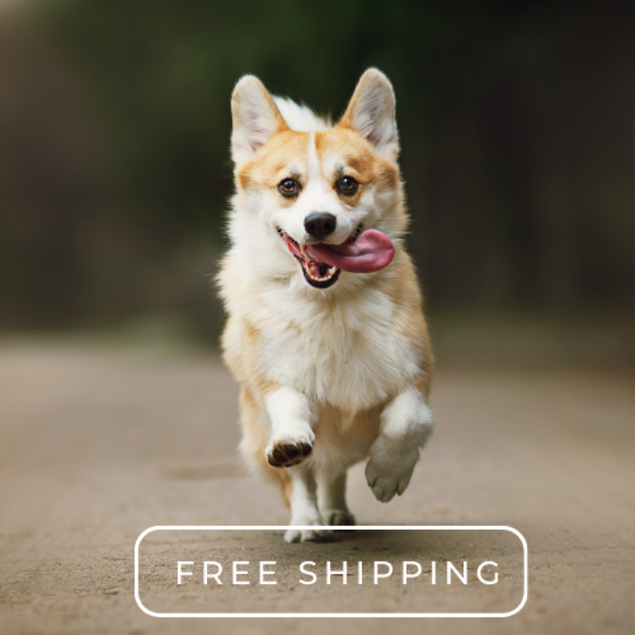 free shipping on all domestic orders