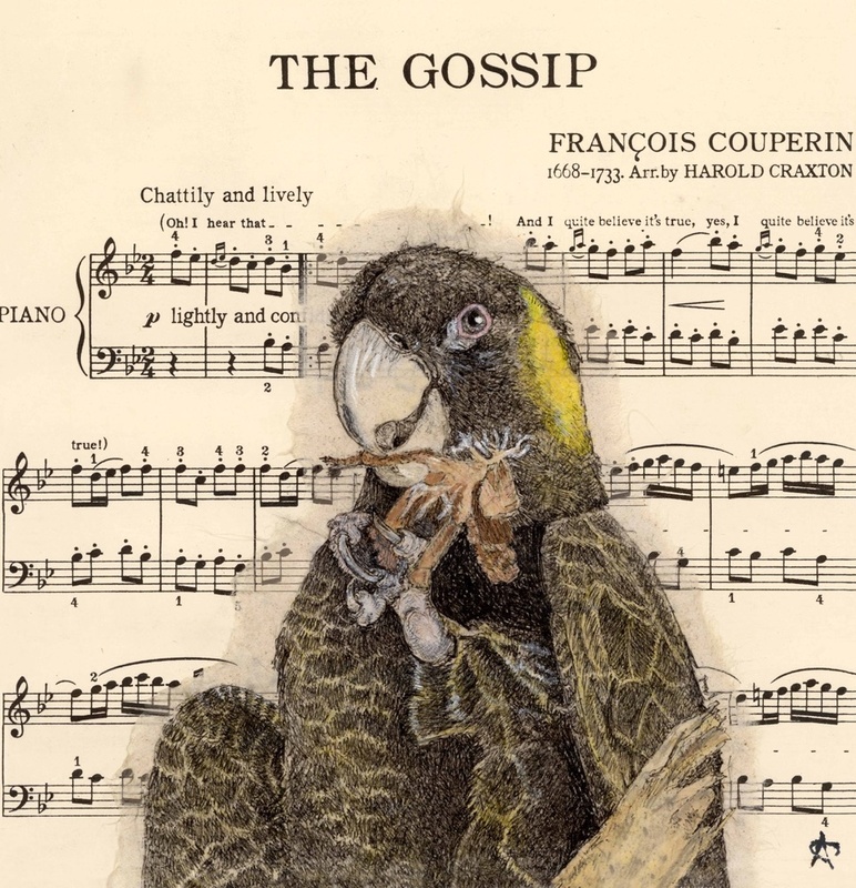 31. Black Cockatoo Gossip