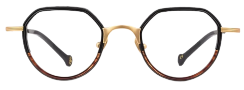 Albert I'mStein ALBERT 3