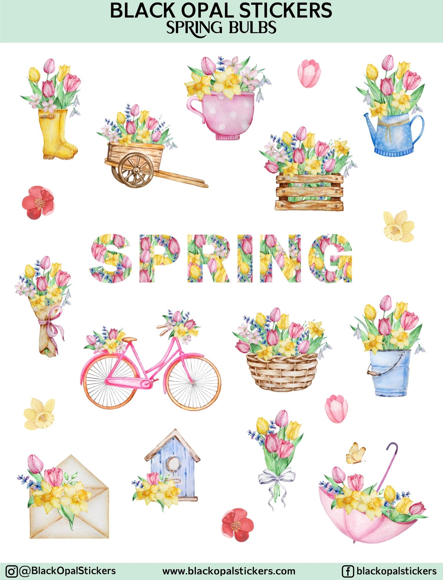 Spring Bulbs
