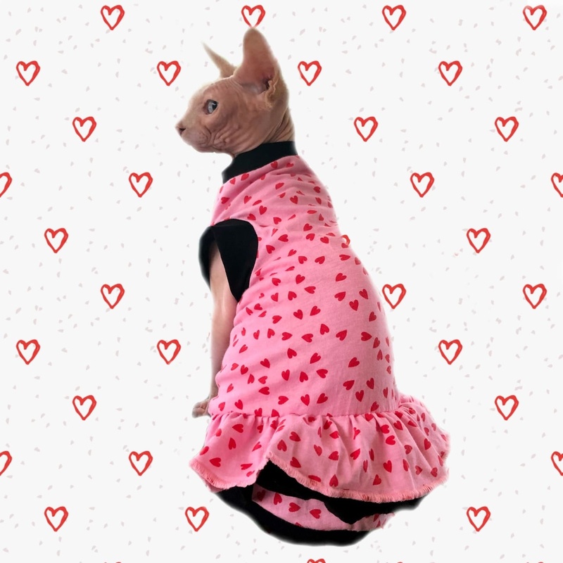 Heart & Soul - Cat Dress