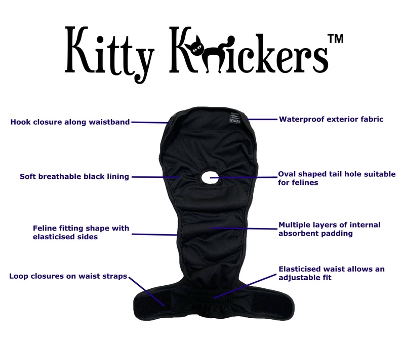 Cat Pants / Diapers / Nappies / Kitty Knickers Rainbow