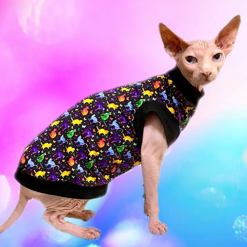 Colourful Cats - Cat Shirt