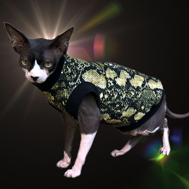 Snake Charmer - Cat Shirt