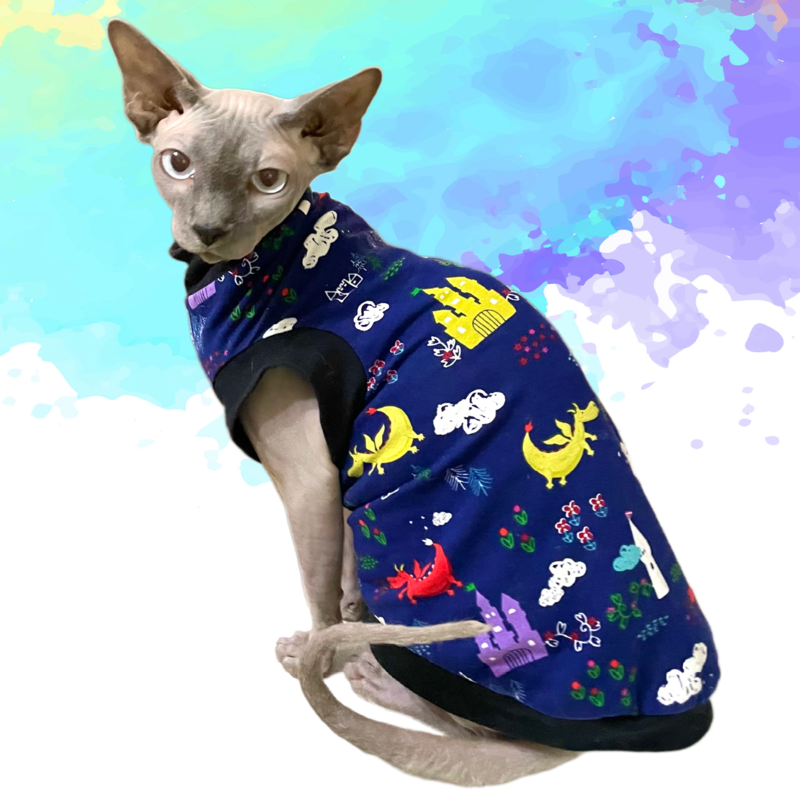 Castles & Dragons - Cat Shirt