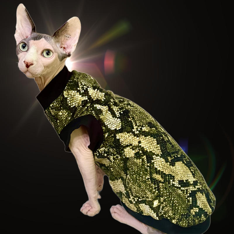 Snake Charmer - Cat Shirt