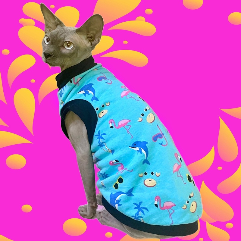 Fun In The Sun - Cat Shirt
