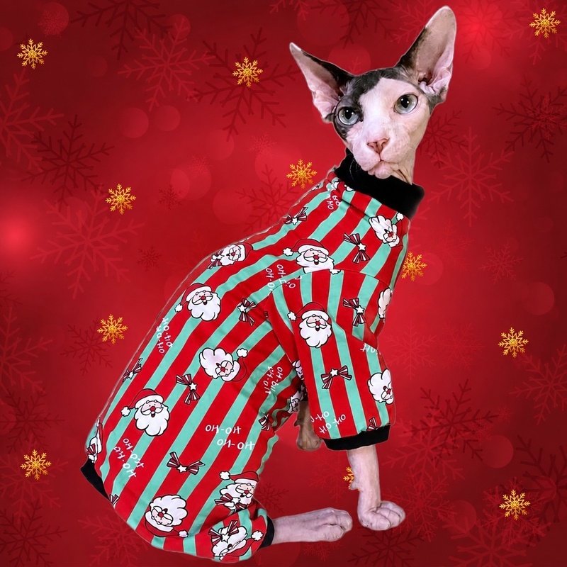 Santa Baby  - Cat Romper