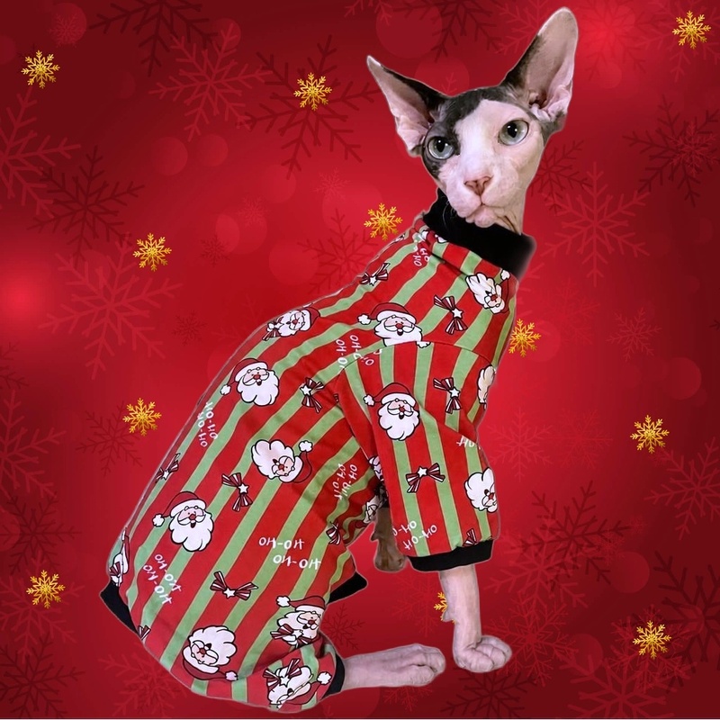 Santa Baby  - Cat Romper