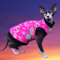 Pink Dayz - Sphynx Cat Clothing Shirt