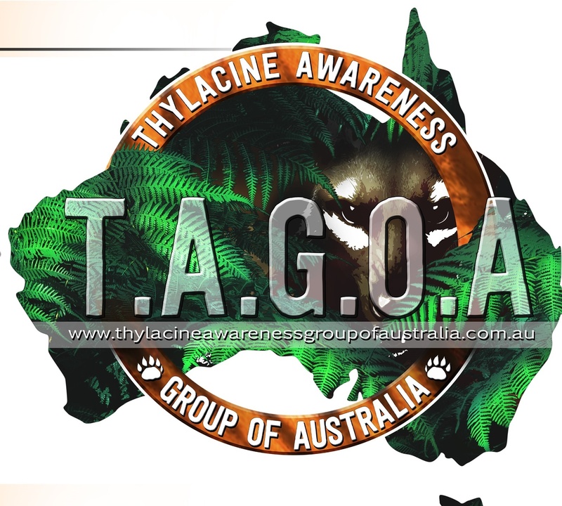 Latest T shirt Design New Logo And Bumper Stickers 