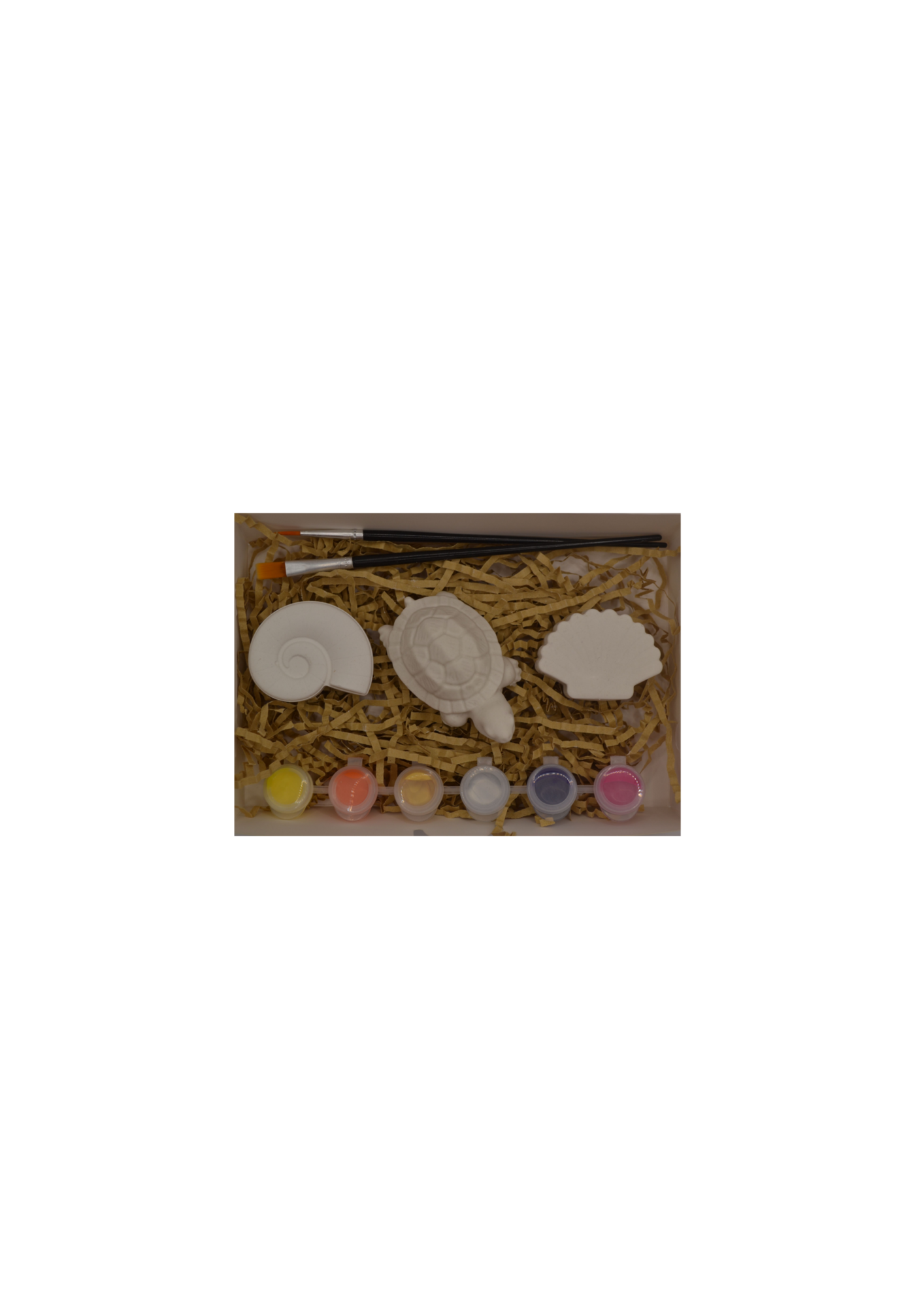 Marine Pack Plaster Kits
