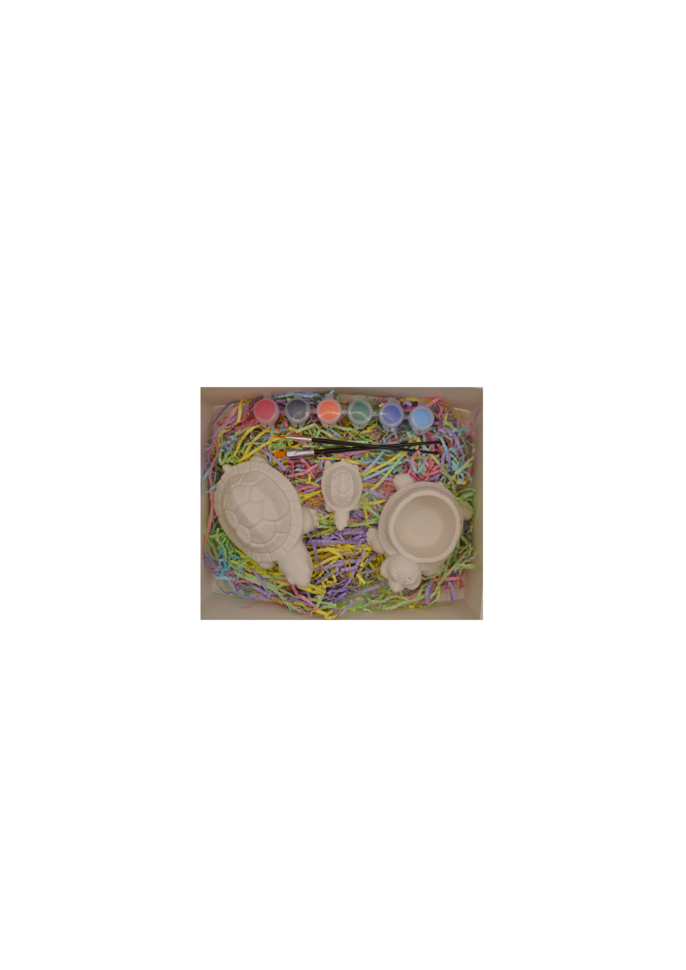 Turtle Plaster Kits