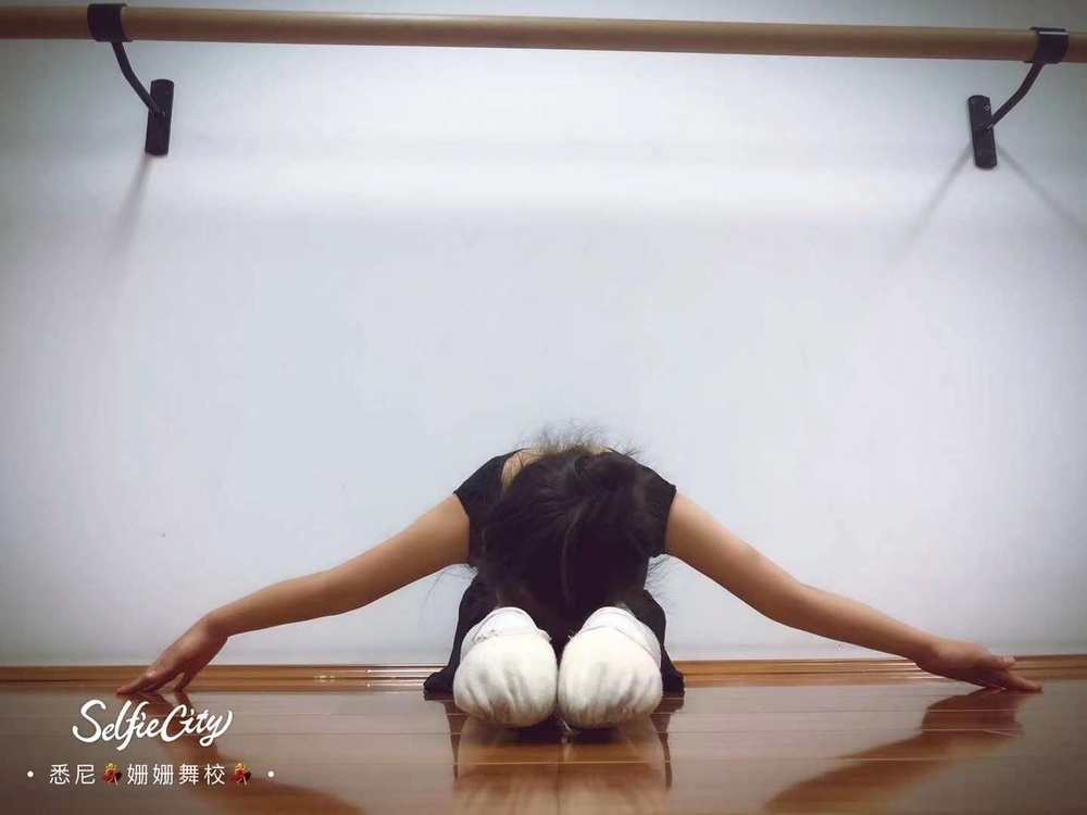 Ballet technique
