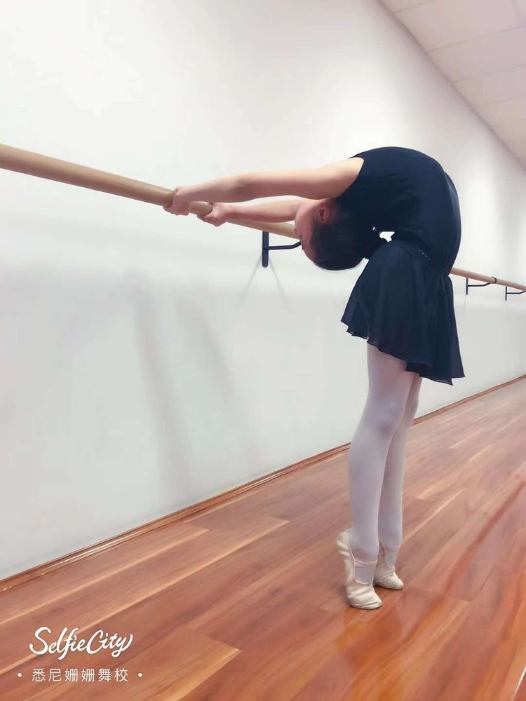 Barre and posture training