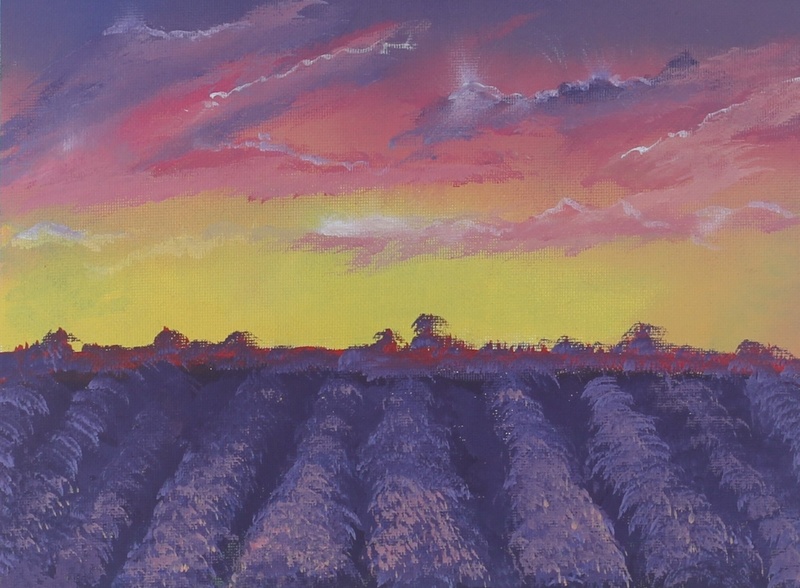 Lavender Field Sunset