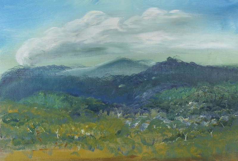 Flinders View