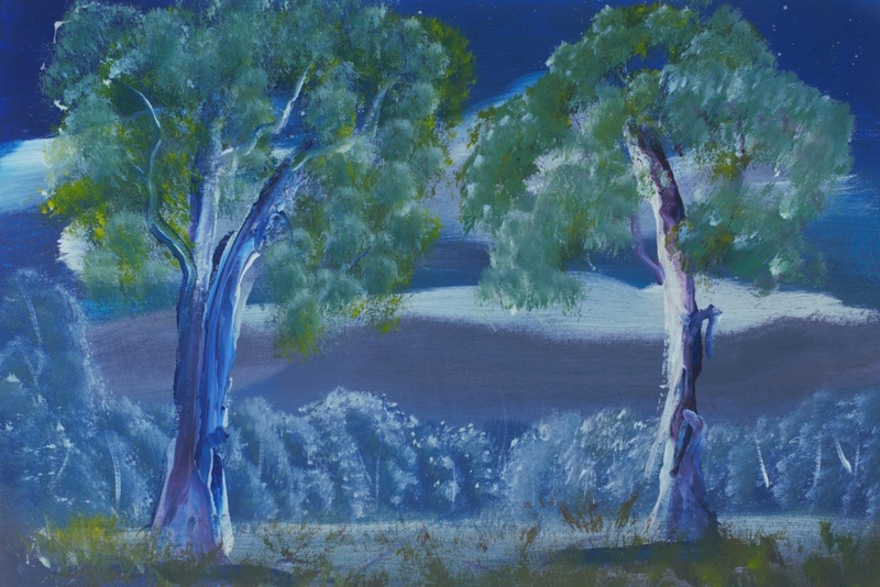 Twin gums at Night