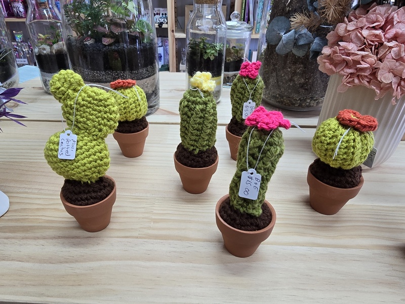 Mini Potted Cactus