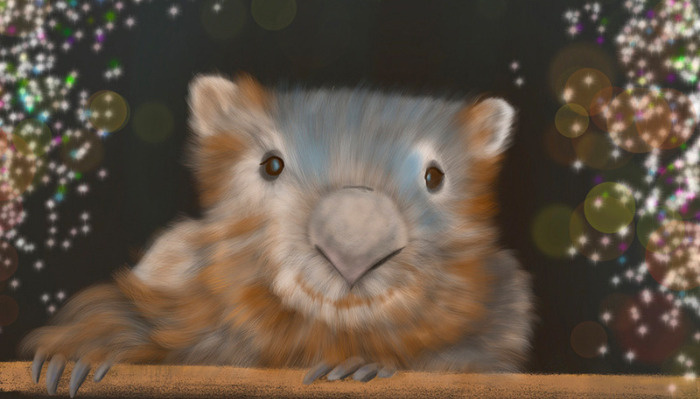 Wombat Illustration using Procreate