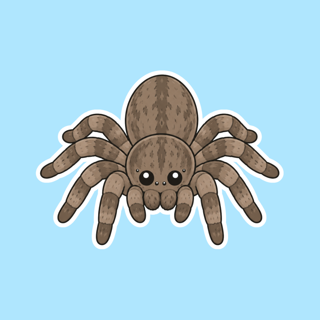 Desert Bark Huntsman