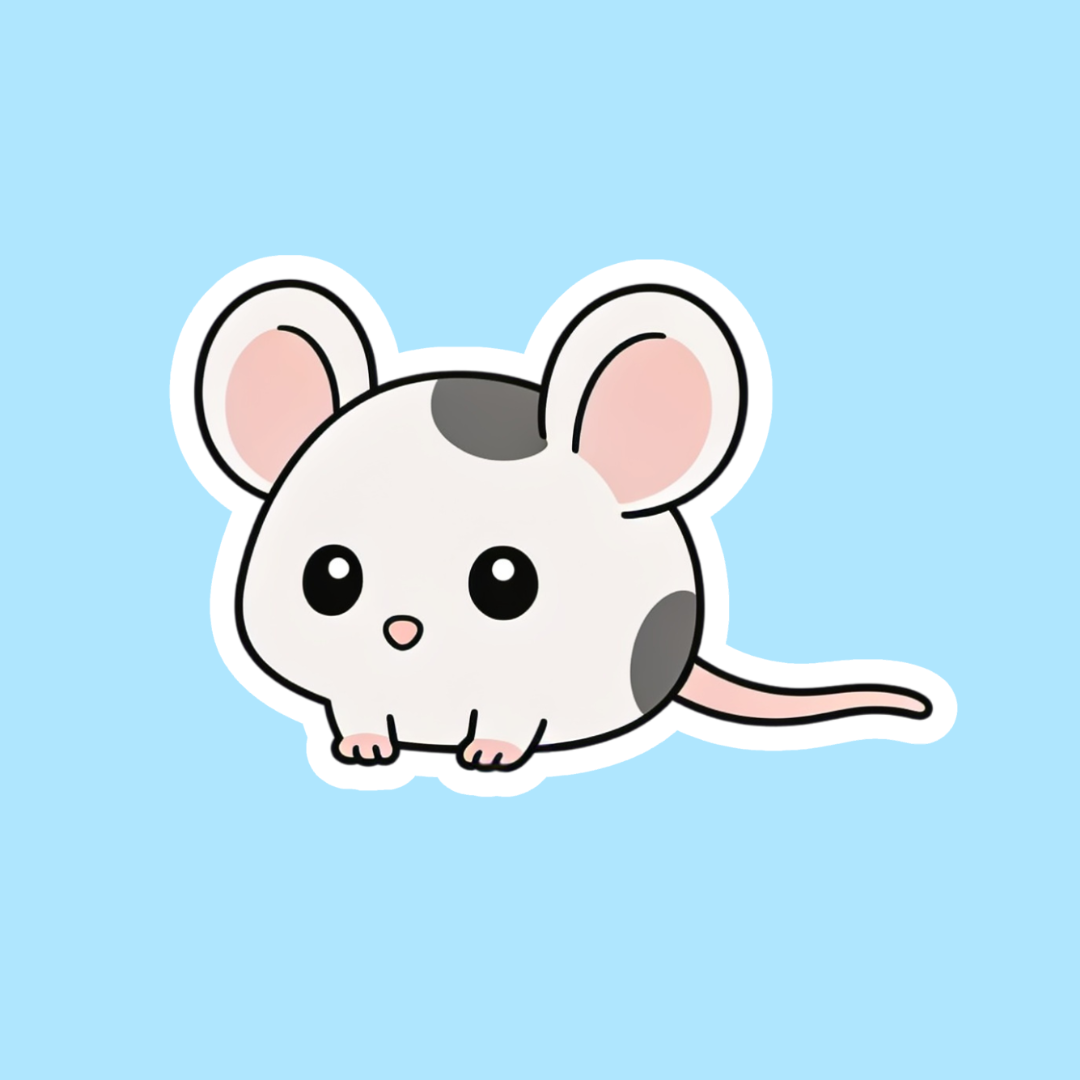 Grey/White Mouse