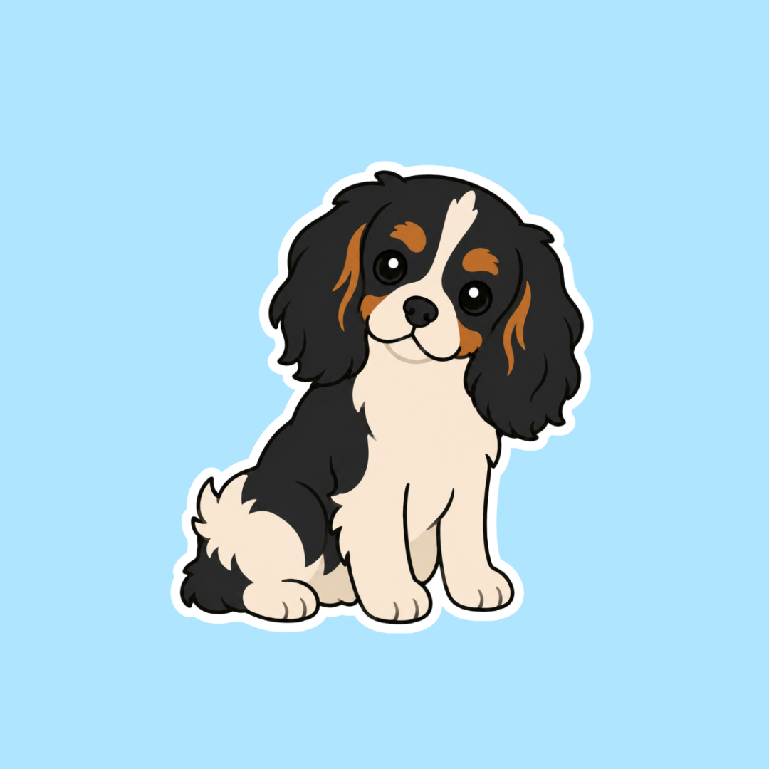King Charles Cavalier