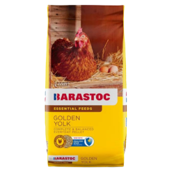 BARASTOC Golden Yolk Layers