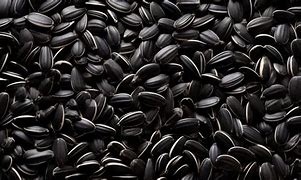 Black Sunflower Seeds