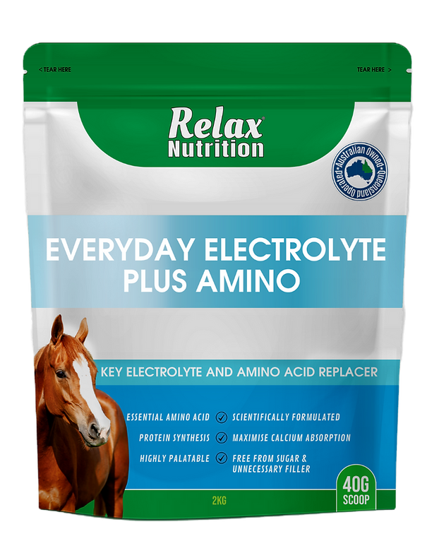 Relax Nutrition Everyday Electrolyte plus Amino 16kg
