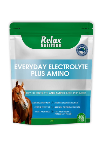 Relax Nutrition Everyday Electrolyte plus Amino 5kg