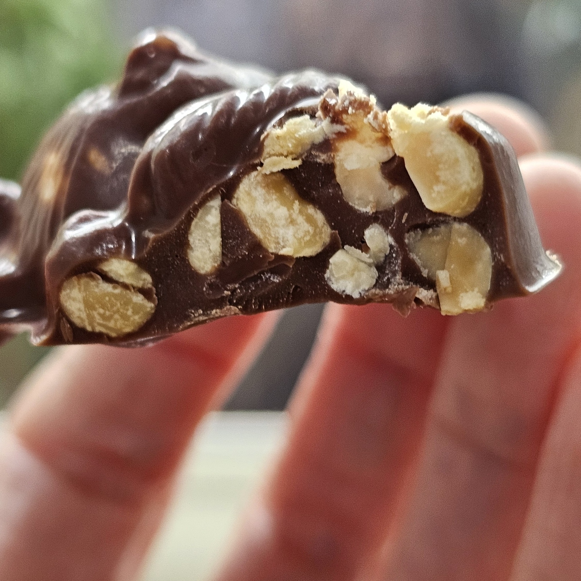 Kev Koala Salty Peanut Milk Chocolate Bar (2‑Pack)